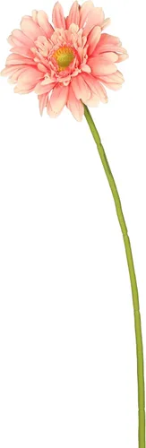 Miniatura 7 de Vickerman Tallo de margarita de gerbera amarilla artificial de 21 pulgadas, 6 por bolsa Amarillo