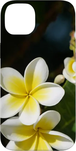 Miniatura 15 de iPhone 12/12 Pro Plumeria Flower - Carcasa amarilla