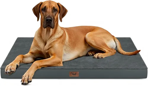 Miniatura 71 de Cama ortopédica de felpa para perros y cachorros medianos, camas impermeables para perros de 30 x 20 pulgadas con funda extraíble lavable, tapete