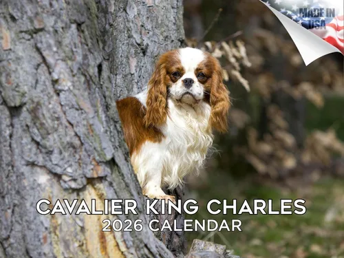 Miniatura 91 de Calendario 2025 2026 de cachorros Cocker Spaniel - Calendario mensual de pared de raza de perro - 12" x 24" abierto - Papel grueso sin sangrado