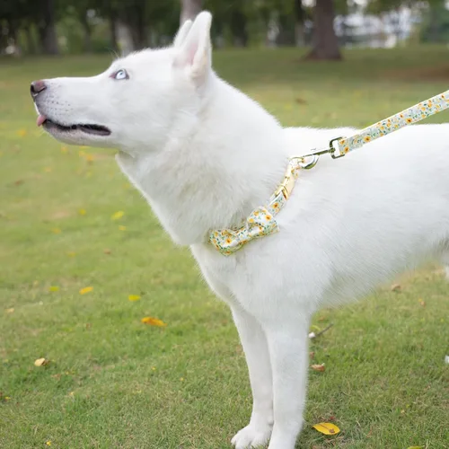 Miniatura 5 de Tunkoo - Collar para perro floral con elegante moño de lazo, collar suave y cómodo de algodón ajustable, hebilla de metal premium para cachorros