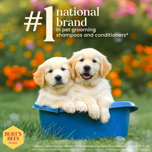 Miniatura 7 de Burt's Bees for Pets Champú para cachorros sin lágrimas con suero de leche y aceite de linaza, champú suave para perros de más de 8 semanas