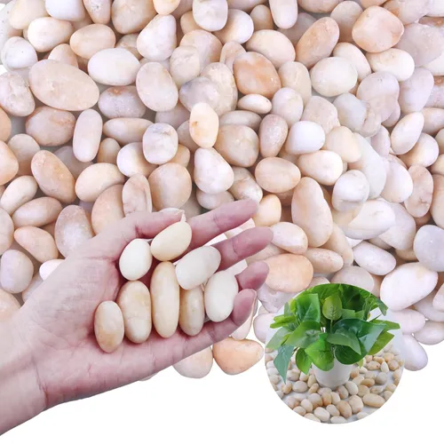 Roca de río blanco crema de 20 libras, guijarros decorativos para plantas, rocas de río para paisajismo al aire libre, piedras pulidas de 0.3 a 0.8