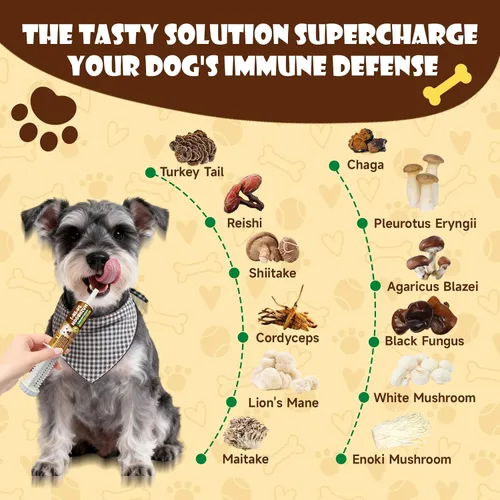 Miniatura 4 de Hongos para perros – Hongo de cola de pavo para perros – Apoyo a la salud inmunológica, intestino, piel, articulaciones – Bultos y protuberancias
