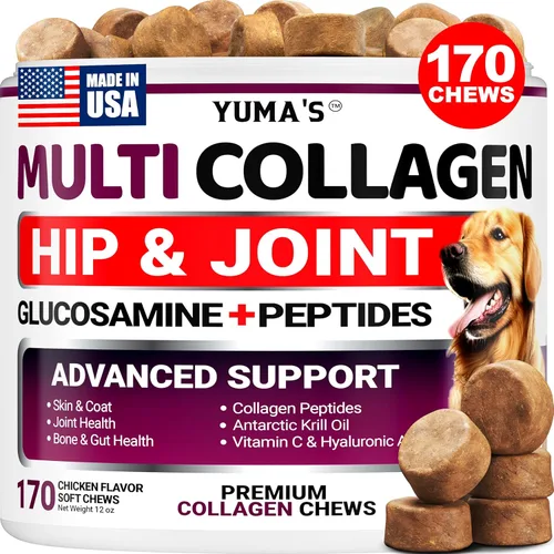YUMA'S Colágeno avanzado para perros – 170 masticables – Suplemento de cadera y articulaciones – Péptidos de colágeno múltiple – Salud de la piel y