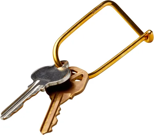 Miniatura 4 de Craighill Wilson Keyring - 2" Carabiner Keychain Clip, Key Ring for Car Keys, Lightweight, D Ring Key Organizer