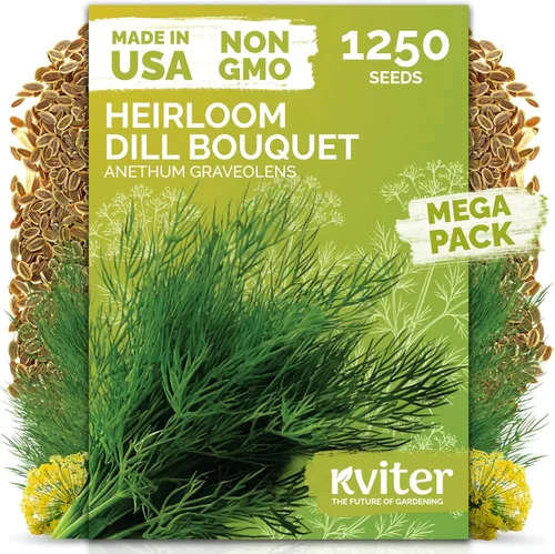 Miniatura 17 de KVITER 1000 semillas de quinua de cordero (Chenopodium Album) - Hierbas comestibles autóctonas, ideales para jardines de hierbas orgánicas