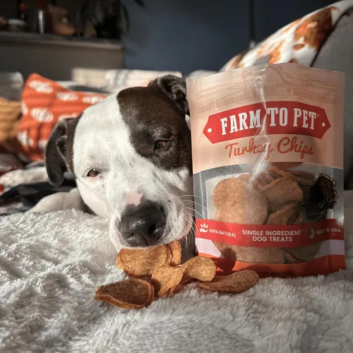 Miniatura 5 de Farm To Pet Golosinas de entrenamiento para perros, papas fritas de pavo saludables para perros, 4 onzas, pechuga de pavo 100% de grado humano, todo