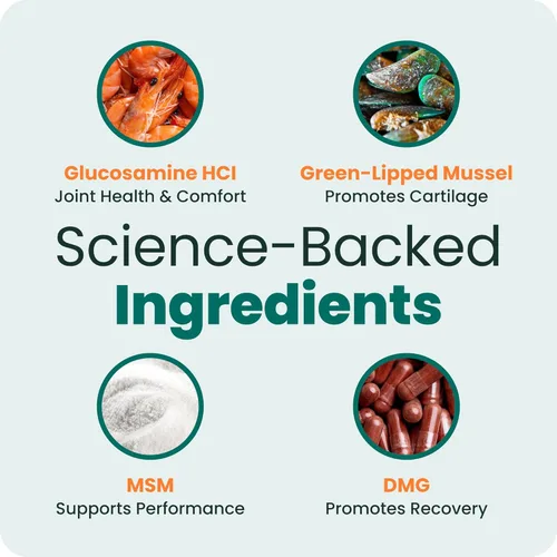 Miniatura 4 de VetriScience Glycoflex 3 Suplemento para cadera y articulaciones para perros, suplemento de máxima fuerza para perros con glucosamina, MSM, mejillón