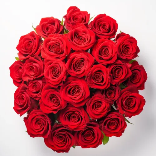 Miniatura 14 de GlobalRose Ramo de 36 rosas rojas, rosas de origen responsable, flores frescas, ramo fresco de flores seleccionadas a mano para graduación, Rojo