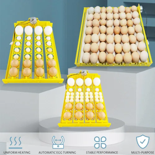 Miniatura 3 de Incubadora de 56 huevos, torneado automático y ajustable, incubadora para huevos de gallina, para incubar aves de corral, pollo, pato, pájaro