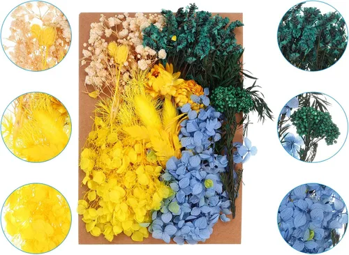 Miniatura 3 de PATIKIL Flores prensadas para manualidades, flores secas a granel, flores prensadas naturales, hojas para resina, jabón, vela, álbumes de recortes