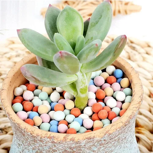 Miniatura 5 de Piedras de arcilla de 2 libras Jardinería Ceramsite Orquídea Rocas Drenaje Purificación de Agua Decoración Ceramsite Decoración Cultivo Piedra