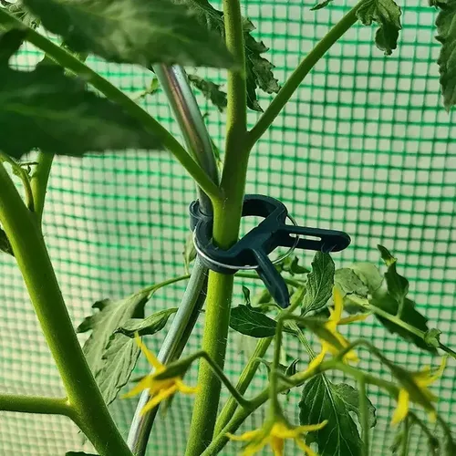 Miniatura 3 de 20 piezas de clips suaves para plantas y flores para apoyar tallos