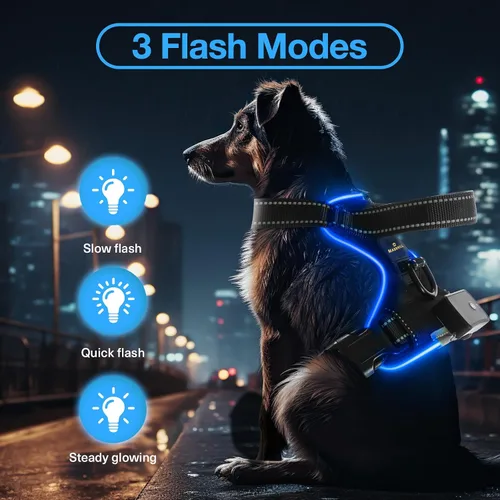 Miniatura 2 de MASBRILL Arnés para perro con luz LED - Arnés LED para perro sin tirones, recargable, ajustable, chaleco arnés iluminado para perros pequeños