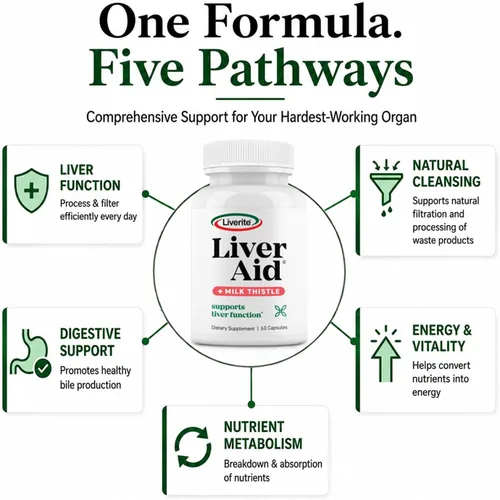 Miniatura 7 de LIVERITE Ayuda hepática con cardo mariano 60 cápsulas, suplemento de apoyo hepático con aminoácidos, colina, cardo mariano y vitamina B12 - Apoya