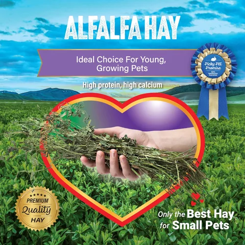 Miniatura 5 de Small Pet Select Alfalfa - Alimento para mascotas para conejos jóvenes, conejillos de indias, chinchillas, tortugas y otros animales pequeños, caja