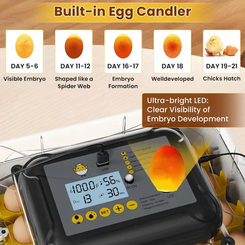 Miniatura 7 de Incubadoras para incubar huevos, incubadora de huevos de gallina con giro automático de huevos, fuente de alimentación doble, vela de huevos