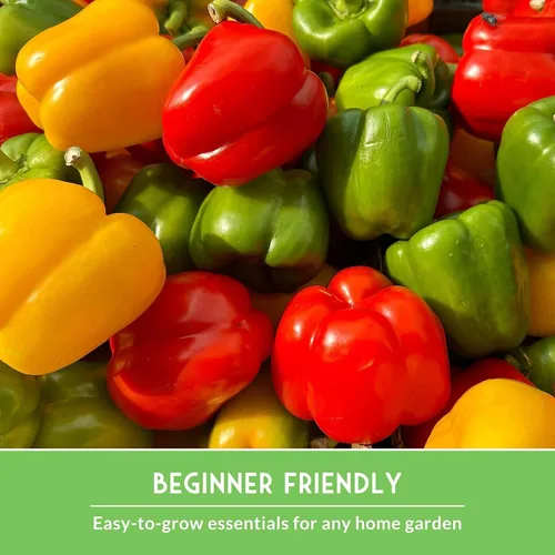 Miniatura 6 de Semillas de jardín de verduras de verano, paquete variado de 10 heirloom sin OMG para plantar, colección de jardinería de clima cálido para verduras