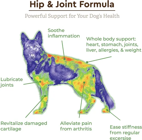 Miniatura 6 de IPL Ultimate Suplemento para cadera y articulaciones para perros Alivia el dolor, revitaliza el cartílago y desarrolla la salud muscular