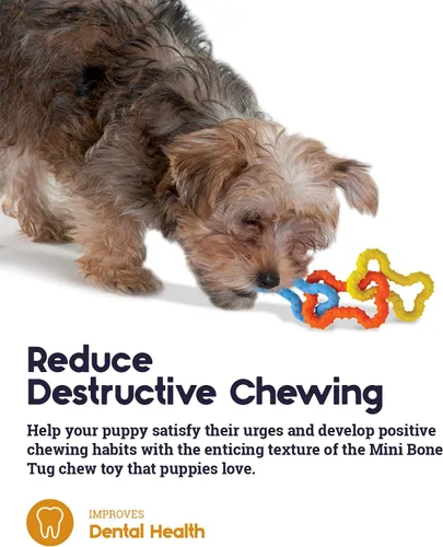 Miniatura 5 de Petstages Mini juguete masticable para cachorros con forma de hueso