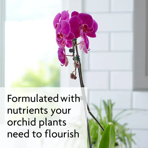 Miniatura 4 de Miracle-Gro Picos de alimento para plantas de orquídeas