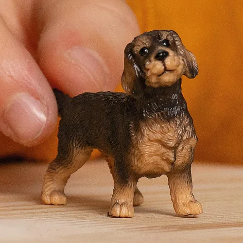 Miniatura 2 de Schleich Farm World - Figura de juguete de perro salchicha con pelo de alambre de animales de granja, para niños a partir de 3 años