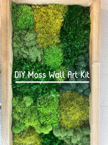 Miniatura 7 de Cojín Almohada Bollo de Musgo de Poste Preservado Verde Natural Decorativo Real Natural Kit de Bricolaje Arte de Jardinería Decoración de Pared