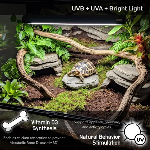 Miniatura 2 de Luz de reptil UVB T5 mejorada, 10.0 UVB 24W fabricación alemana lámpara fluorescente y kit de accesorios, para reptiles que viven en el desierto