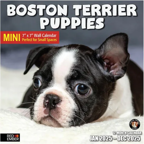 Miniatura 36 de RED EMBER Calendario de pared 2025 con diseño de cachorros de 12 meses, 12 x 24 pulgadas, abierto, papel grueso y resistente, para regalo