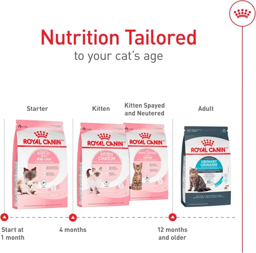 Miniatura 6 de Royal Canin Feline Health Nutrition Mother & Babycat Queen - Alimento seco para gatos, bolsa de 3 libras