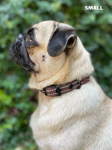 Miniatura 8 de Tuff Pupper Collar de perro resistente con asa Collar de nailon balístico resistente Collar de perro reflectante acolchado con hardware