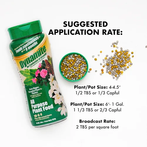 Miniatura 6 de Dynamite - Alimento vegetal multiusos de 9 meses de 2 libras