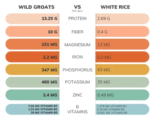 Miniatura 2 de WILD GROATS Trigo sarraceno crudo orgánico, cultivado en Estados Unidos, semillas germinables, 16 onzas, sin gluten, sin cáscara, proteína completa