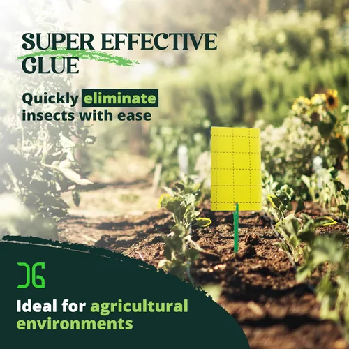 Miniatura 3 de Catchmaster GRO - Trampas adhesivas regulares de doble cara amarillas, paquete de 36 unidades, trampa adhesiva para insectos y moscas de la fruta
