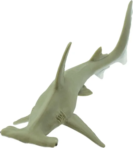 Safari Ltd. Figura de tiburón Hammerhead – Figura detallada de plástico de 6.5 pulgadas – Divertido juguete educativo para niños, niñas y niños a