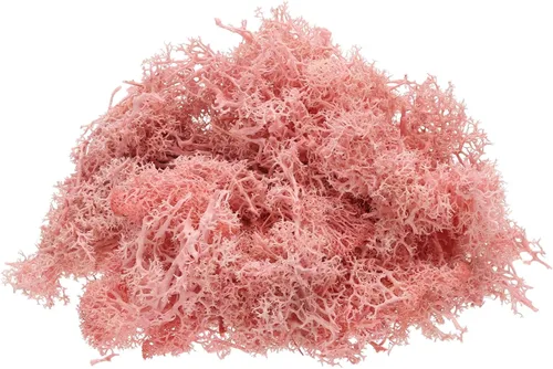 Miniatura 16 de uxcell Musgo de reno preservado, musgo falso de 4 onzas para manualidades, musgo seco artificial para decoración, manualidades, terrarios, plantas