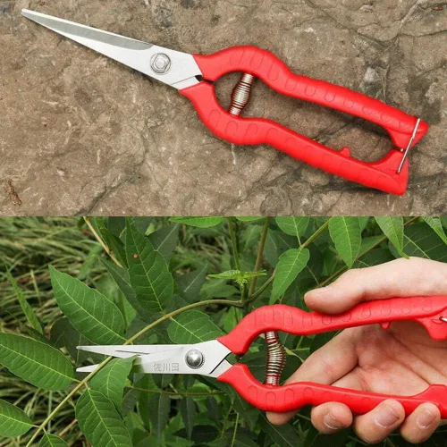 Miniatura 6 de KATUR Tijeras de podar de rosas de jardín, podadoras manuales profesionales, cuchillas rectas de acero inoxidable para arreglos florales, recortar