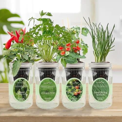Miniatura 4 de Kit de cultivo de hierbas hidropónicas, tarro de masón de riego automático, kit de inicio de jardín de hierbas para interiores, cultiva 4 tipos