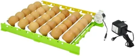Miniatura 3 de Hatching Time Volteador automático de huevos, diseño sin vibraciones, fácil de limpiar, bajo uso de energía, adecuado para pollos
