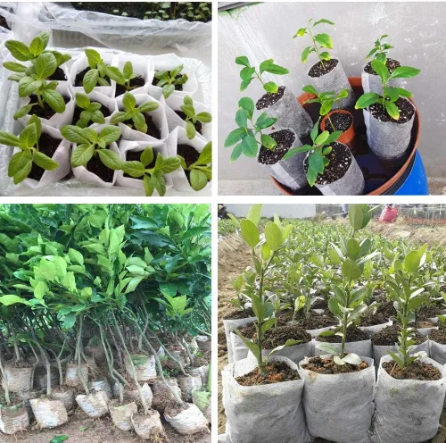Miniatura 8 de Belit 50 Piezas Bolsas de Vivero No Tejidas, Macetas Contenedoras de Plántulas para Vegetales, Flores, Cultivo de Plantas (9.1"x9.3")
