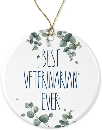 Adorno de veterinario, adorno de mejor veterinario, adorno de Navidad para veterinario, regalo para veterinario, regalo de cumpleaños, aniversario,