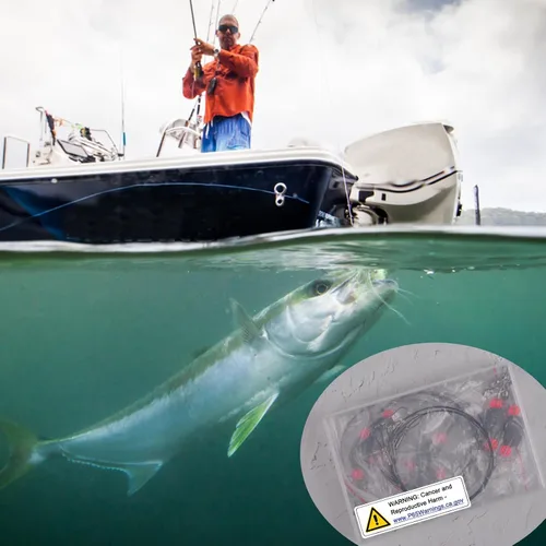 Miniatura 6 de Carolina Rig - Plataformas de pesca de agua salada, líder de alambre de acero inoxidable con pesos de hundimiento de huevos, broches giratorios