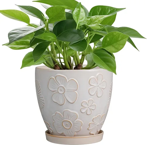 Miniatura 11 de MPotTo Maceta de 6.9 pulgadas con orificio de drenaje y platillo de cerámica para plantas de interior, maceta para orquídeas y suculentas