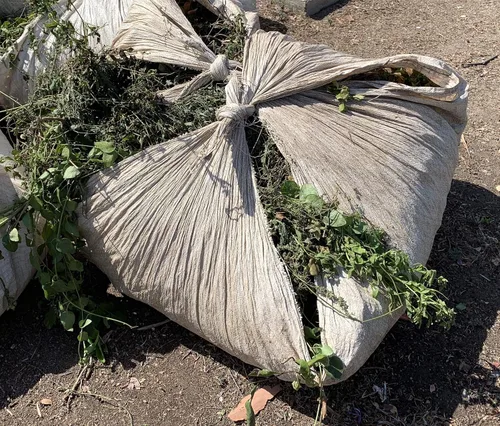Sandbaggy Hojas de polietileno de plástico de 80 pulgadas x 80 pulgadas para paisajistas y jardineros (1)