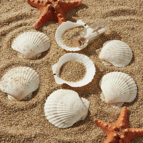 Miniatura 7 de 60 conchas de vieira grandes para manualidades, conchas de almeja de 4 a 5 pulgadas para decoupage playa, conchas marinas blancas naturales a granel