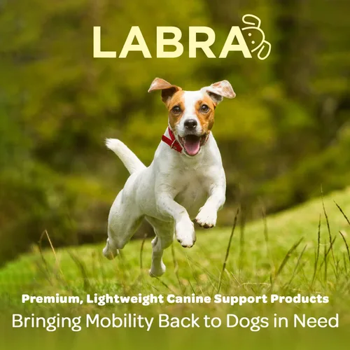 Miniatura 6 de Labra Vendaje de Compresión para Articulación del Corvejón de Pata Trasera de Perro - Soporte Ortopédico para Patas Traseras Débiles, Desgarro