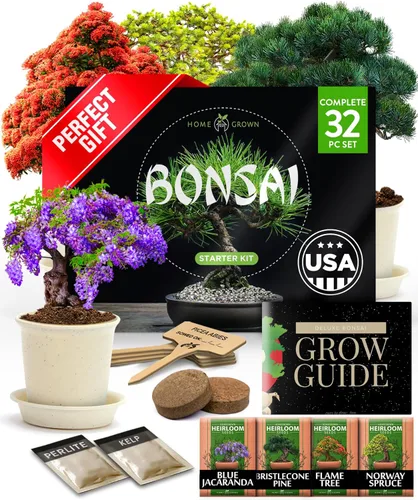 Miniatura 10 de HOME GROWN Kit de árbol bonsái – 6 variedades heredadas con macetas únicas – Kit de inicio de bonsái DIY para adultos y principiantes – Regalo