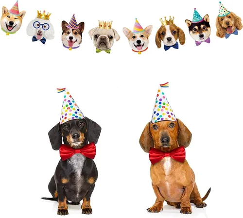 Miniatura 2 de TSJ Cartel de cumpleaños de perro, decoración de fiesta temática de perro, suministros de fiesta de cachorros para fiesta de cumpleaños, baby shower