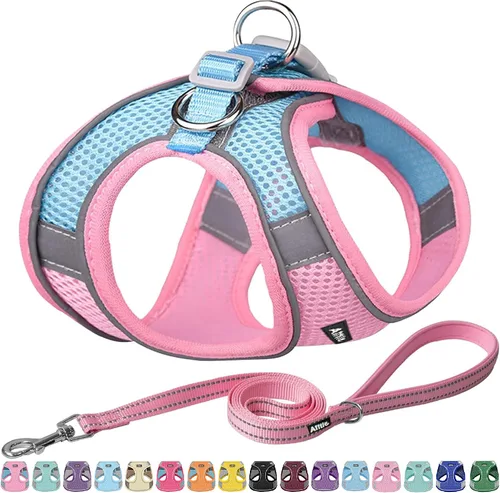 Miniatura 13 de AIITLE - Juego de arnés y correa para perro sin tirones, arnés ajustable para perros con chaleco acolchado para todo clima, correa para perros